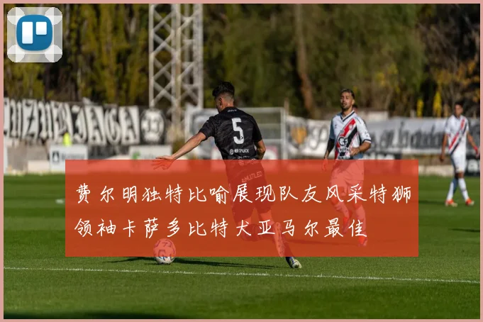 费尔明独特比喻展现队友风采特狮领袖卡萨多比特犬亚马尔最佳