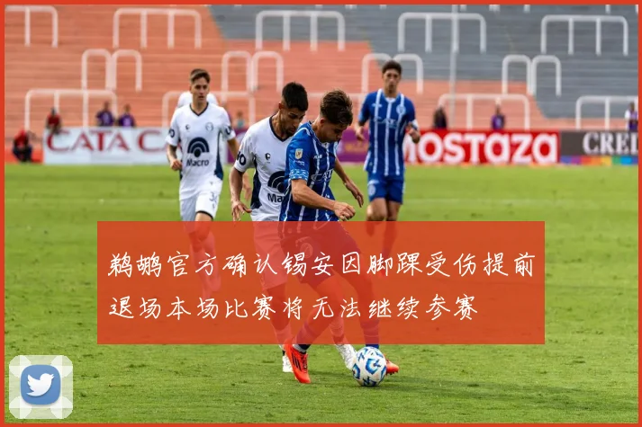 鹈鹕官方确认锡安因脚踝受伤提前退场本场比赛将无法继续参赛