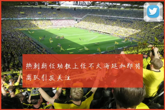 热刺新任助教上任不久海廷加即将离队引发关注